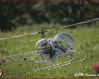 TSR Watermark - 0471